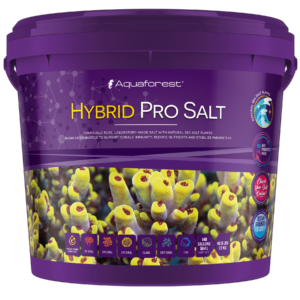 Hybrid Pro Salt