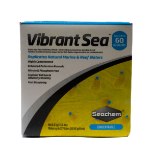 Caja vibrant sea